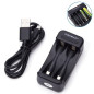 Caricabatterie Universale 2x LR03 (AAA) E LR6 (AA) DC5V 1A Caricabatterie Universale 2x LR03 (AAA) E LR6 (AA) DC5V 1A