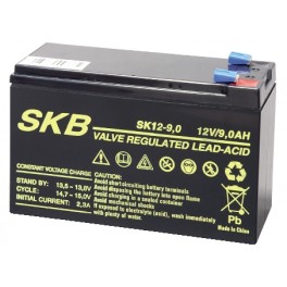Batteria ermetica al piombo SKB per UPS 12V 9Ah