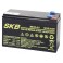 Batteria ermetica al piombo SKB per UPS 12V 9Ah