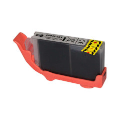 Cartuccia Comp Rig Canon CLI-42LGY Grigio Chiaro