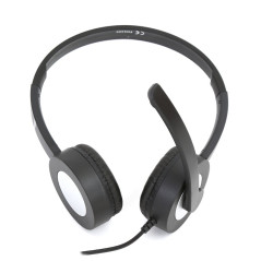 Cuffie Stereo con microfono + Mic USB