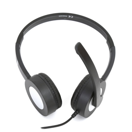Cuffie Stereo con microfono + Mic USB