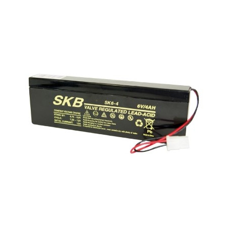 Batteria ermetica al piombo 6V 4A con connettore Beghelli